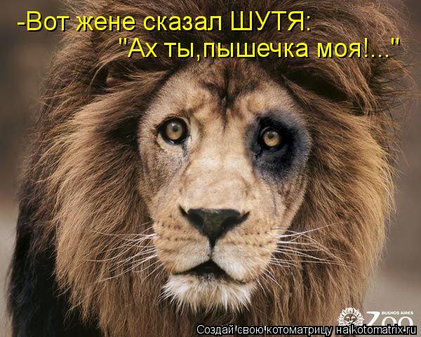 "Ах ты,пышечка моя!..." -Вот жене сказал ШУТЯ:... Котоматрица: "Ах ты,пышечка моя!..." -Вот жене сказал ШУТЯ: