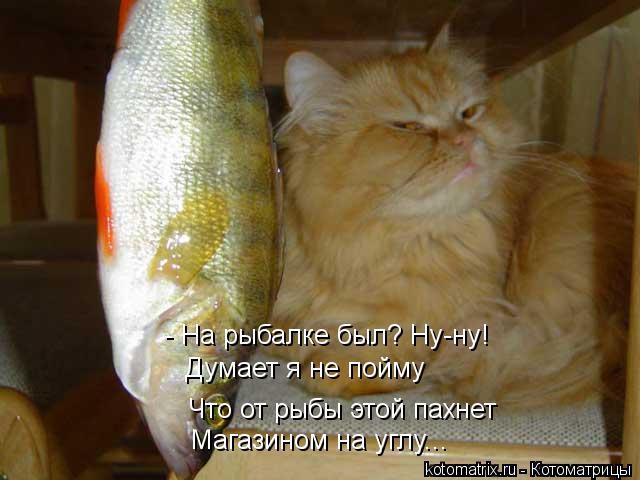 Котоматрица: - На рыбалке был? Ну-ну! Думает я не пойму Что от рыбы этой пахнет Магазином на углу...