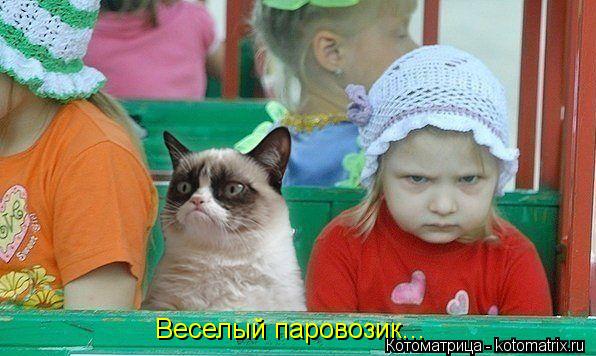 Веселый паровозик...... Котоматрица: Веселый паровозик...
