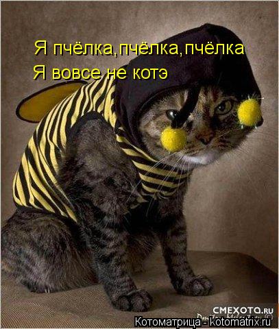 Я пчёлка,пчёлка,пчёлка Я пчёлка,пчёлка,пчёлка Я вовсе не котэ... Котоматрица: Я пчёлка,пчёлка,пчёлка Я пчёлка,пчёлка,пчёлка Я вовсе не котэ