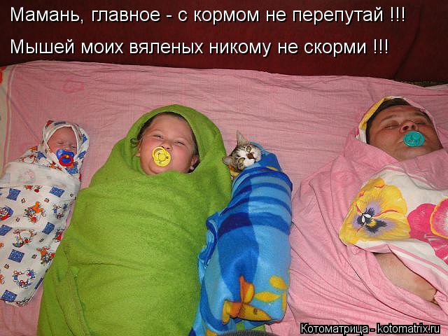 Мамань, главное - с кормом не перепутай !!! Мышей моих вяленых никому не скорми !!!... Котоматрица: Мамань, главное - с кормом не перепутай !!! Мышей моих вяленых никому не скорми !!!