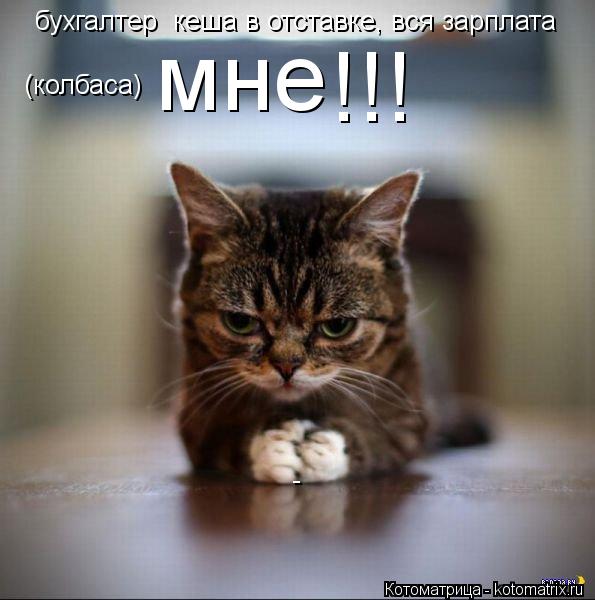 бухгалтер кеша в отставке, вся зарплата (колбаса) мне !!! -... Котоматрица: бухгалтер кеша в отставке, вся зарплата (колбаса) мне !!! -