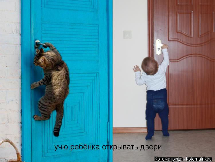 учю ребёнка открывать двери... Котоматрица: учю ребёнка открывать двери