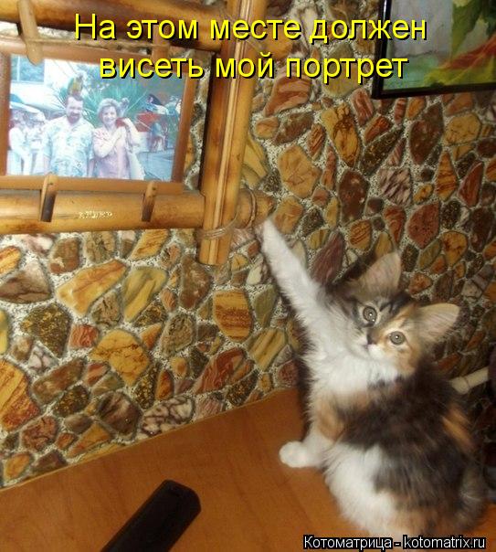 На этом месте должен висеть мой портрет... Котоматрица: На этом месте должен висеть мой портрет