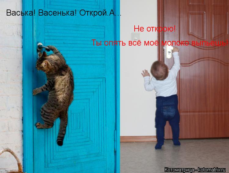 Васька! Васенька! Открой.А... Ты опять всё моё молоко выпьешь! Не открою! Не открою!... Котоматрица: Васька! Васенька! Открой.А... Ты опять всё моё молоко выпьешь! Не открою! Не открою!