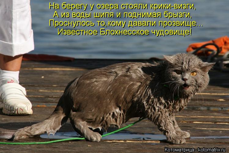 Котоматрица: А из воды шипя и поднимая брызги, На берегу у озера стояли крики-визги, Проснулось то,кому давали прозвище...  Известное Блохнесское чудовище