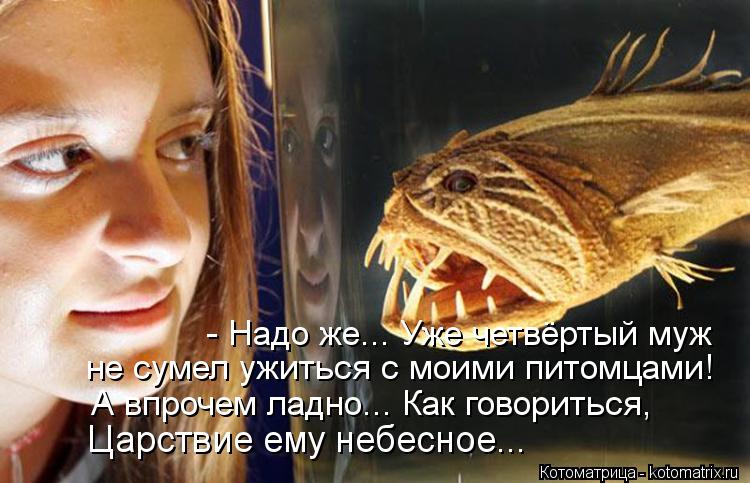 - Надо же... Уже четвёртый муж не сумел ужиться с моими питомцами! Царствие ему небесное... А впроче... Котоматрица: - Надо же... Уже четвёртый муж не сумел ужиться с моими питомцами! Царствие ему небесное... А впрочем ладно... Как говориться,