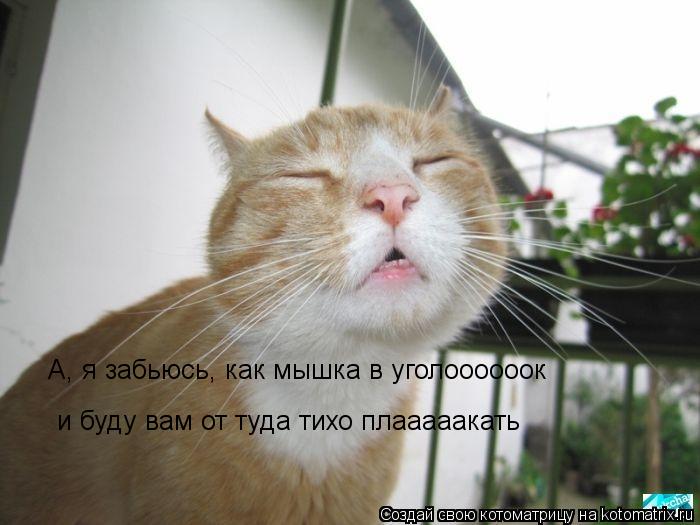 А, я забьюсь, как мышка в уголоооооок и буду вам от туда тихо плааааакать... Котоматрица: А, я забьюсь, как мышка в уголоооооок и буду вам от туда тихо плааааакать