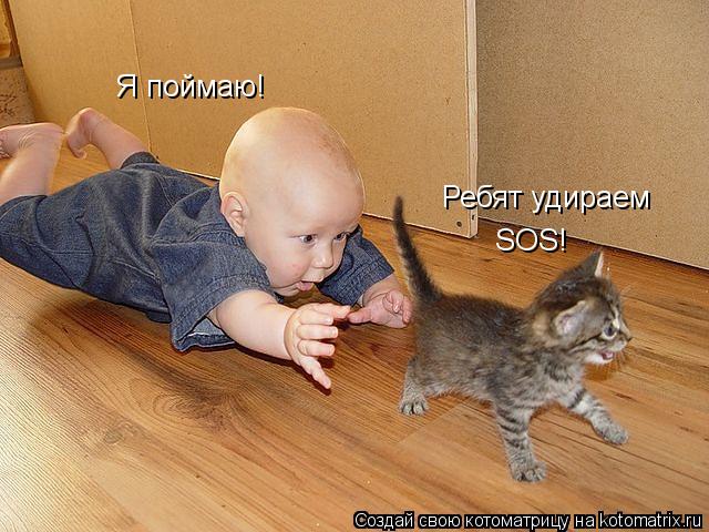 Я поймаю! Ребят удираем SOS!... Котоматрица: Я поймаю! Ребят удираем SOS!