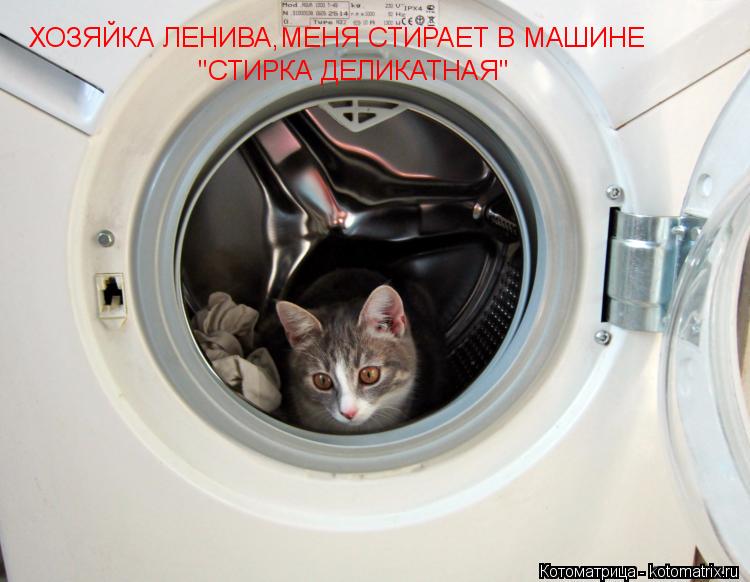 ХОЗЯЙКА ЛЕНИВА,МЕНЯ СТИРАЕТ В МАШИНЕ "СТИРКА ДЕЛИКАТНАЯ"... Котоматрица: ХОЗЯЙКА ЛЕНИВА,МЕНЯ СТИРАЕТ В МАШИНЕ "СТИРКА ДЕЛИКАТНАЯ"