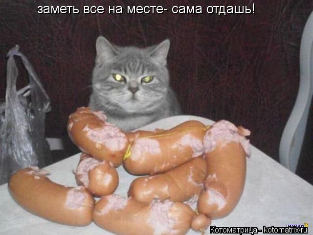заметь все на месте- сама отдашь!... Котоматрица: заметь все на месте- сама отдашь!