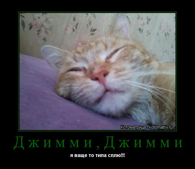 Джимми,Джимми я ваще то типа сплю!!!... Котоматрица: Джимми,Джимми я ваще то типа сплю!!!