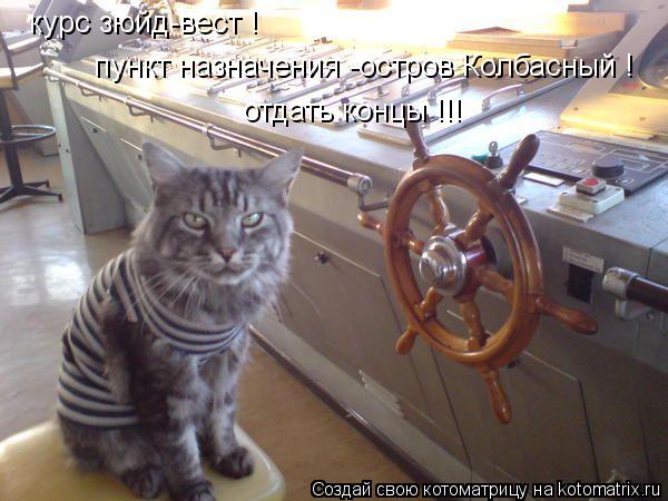курс зюйд-вест ! пункт назначения -остров Колбасный ! отдать концы !!!... Котоматрица: курс зюйд-вест ! пункт назначения -остров Колбасный ! отдать концы !!!