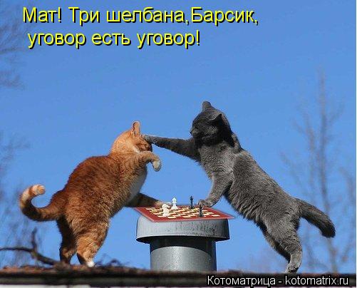 Мат! Три шелбана,Барсик, уговор есть уговор!... Котоматрица: Мат! Три шелбана,Барсик, уговор есть уговор!
