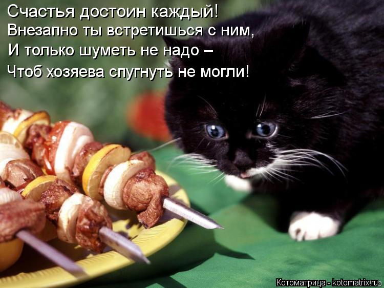 Счастья достоин каждый! Внезапно ты встретишься с ним, И только шуметь не надо – Чтоб хозяева спугнут... Котоматрица: Счастья достоин каждый! Внезапно ты встретишься с ним, И только шуметь не надо – Чтоб хозяева спугнуть не могли!