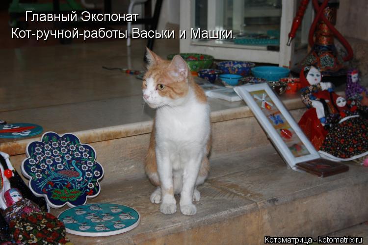 Главный Экспонат Кот-ручной-работы Васьки и Машки.... Котоматрица: Главный Экспонат Кот-ручной-работы Васьки и Машки.