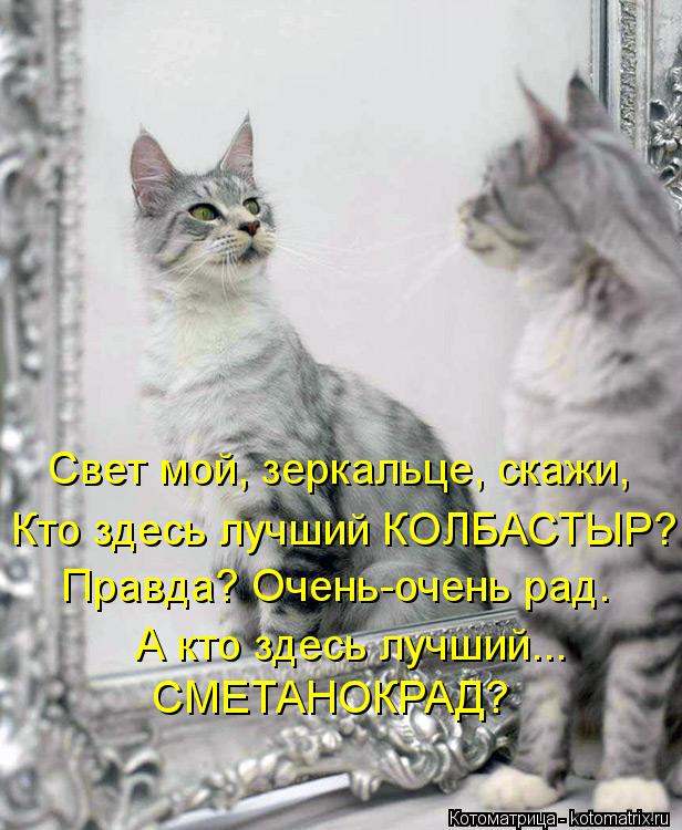 Свет мой, зеркальце, скажи, Кто здесь лучший КОЛБАСТЫР? Правда? Очень-очень рад. А кто здесь лучший..... Котоматрица: Свет мой, зеркальце, скажи, Кто здесь лучший КОЛБАСТЫР? Правда? Очень-очень рад. А кто здесь лучший... СМЕТАНОКРАД?