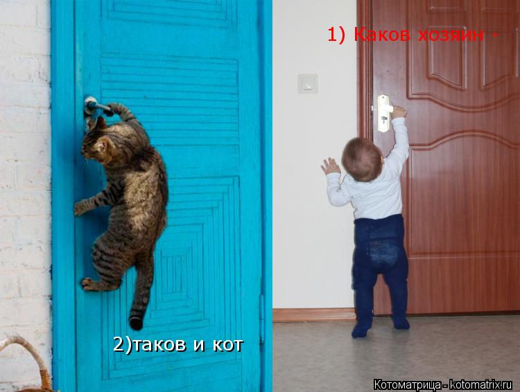 1) Каков хозяин - 2)таков и кот... Котоматрица: 1) Каков хозяин - 2)таков и кот
