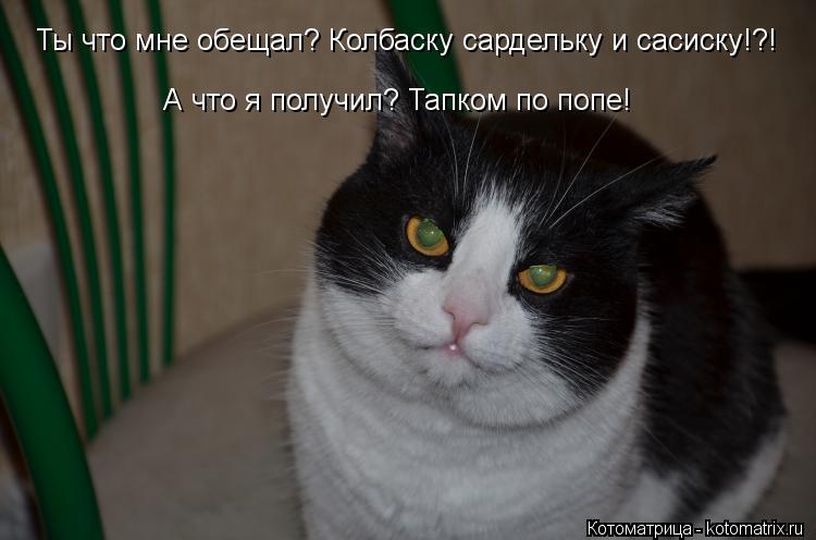 Ты что мне обещал? Колбаску сардельку и сасиску!?! А что я получил? Тапком по попе!... Котоматрица: Ты что мне обещал? Колбаску сардельку и сасиску!?! А что я получил? Тапком по попе!