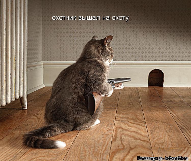 охотник вышал на охоту... Котоматрица: охотник вышал на охоту