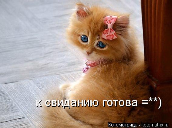 к свиданию готова =**)... Котоматрица: к свиданию готова =**)