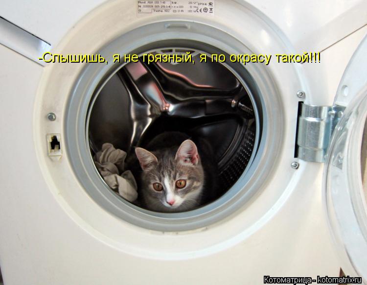 -Слышишь, я не грязный, я по окрасу такой!!!... Котоматрица: -Слышишь, я не грязный, я по окрасу такой!!!