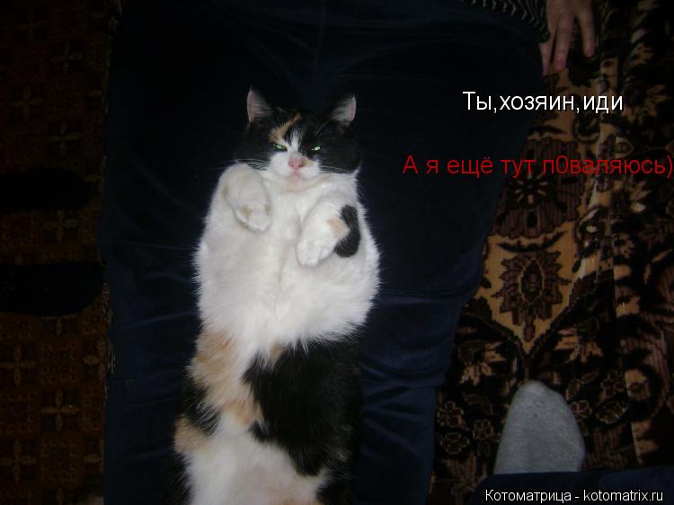 Ты,хозяин,иди А я ещё тут п0валяюсь)... Котоматрица: Ты,хозяин,иди А я ещё тут п0валяюсь)