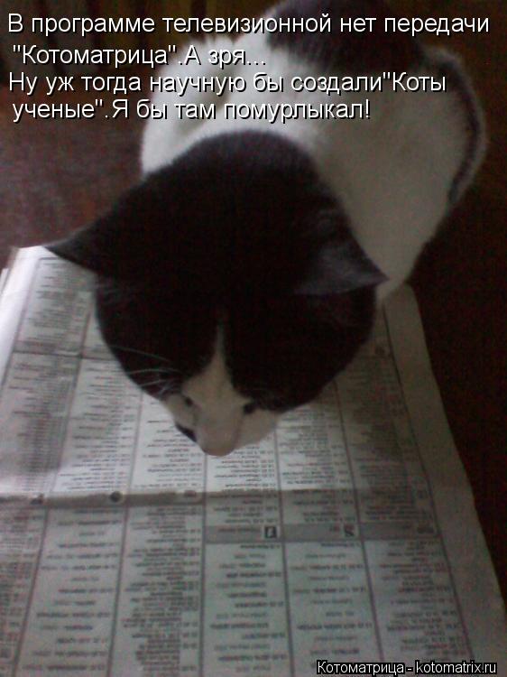 В программе телевизионной нет передачи "Котоматрица".А зря... Ну уж тогда научную бы создали"Коты уче... Котоматрица: В программе телевизионной нет передачи "Котоматрица".А зря... Ну уж тогда научную бы создали"Коты ученые".Я бы там помурлыкал!