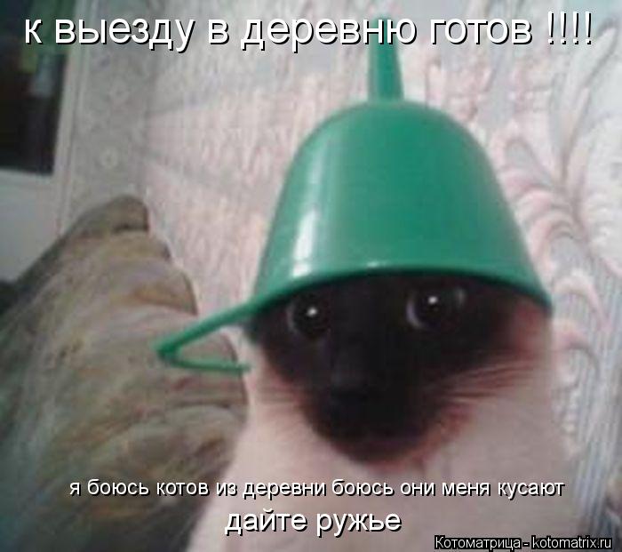 к выезду в деревню готов !!!! я боюсь котов из деревни боюсь они меня кусают дайте ружье... Котоматрица: к выезду в деревню готов !!!! я боюсь котов из деревни боюсь они меня кусают дайте ружье