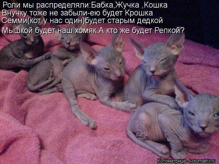 Роли мы распределяли:Бабка,Жучка ,Кошка Внучку тоже не забыли-ею будет Крошка Семми(кот у нас один)бу... Котоматрица: Роли мы распределяли:Бабка,Жучка ,Кошка Внучку тоже не забыли-ею будет Крошка Семми(кот у нас один)будет старым дедкой Мышкой будет наш хомя