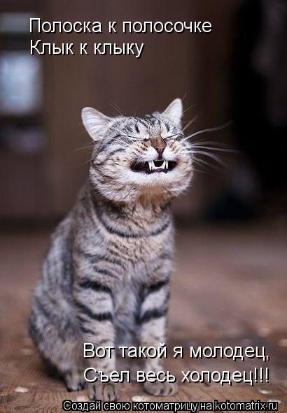 Полоска к полосочке Клык к клыку Съел весь холодец!!! Вот такой я молодец,... Котоматрица: Полоска к полосочке Клык к клыку Съел весь холодец!!! Вот такой я молодец,