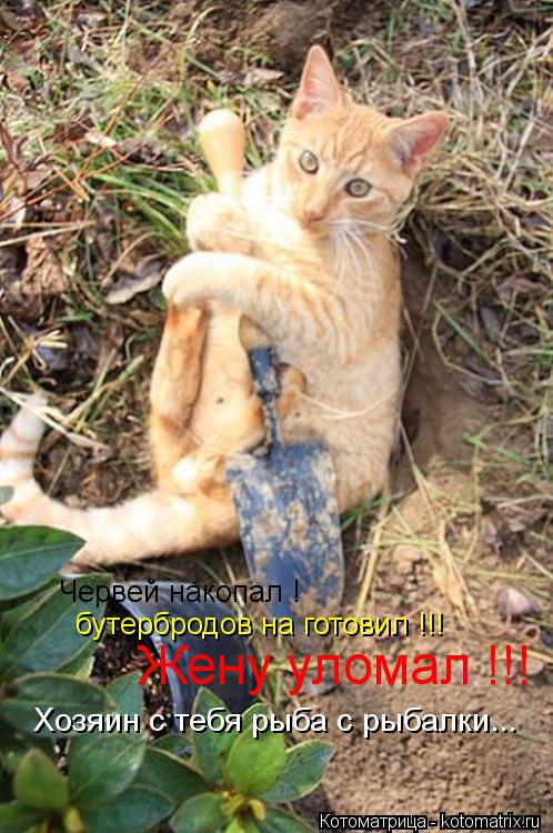Червей накопал ! бутербродов на готовил !!! Жену уломал !!! Хозяин с тебя рыба с рыбалки...... Котоматрица: Червей накопал ! бутербродов на готовил !!! Жену уломал !!! Хозяин с тебя рыба с рыбалки...