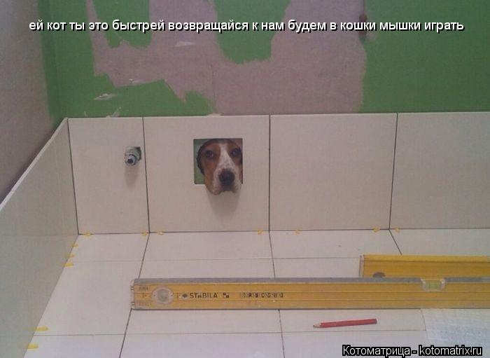 ей кот ты это быстрей возвращайся к нам будем в кошки мышки играть... Котоматрица: ей кот ты это быстрей возвращайся к нам будем в кошки мышки играть