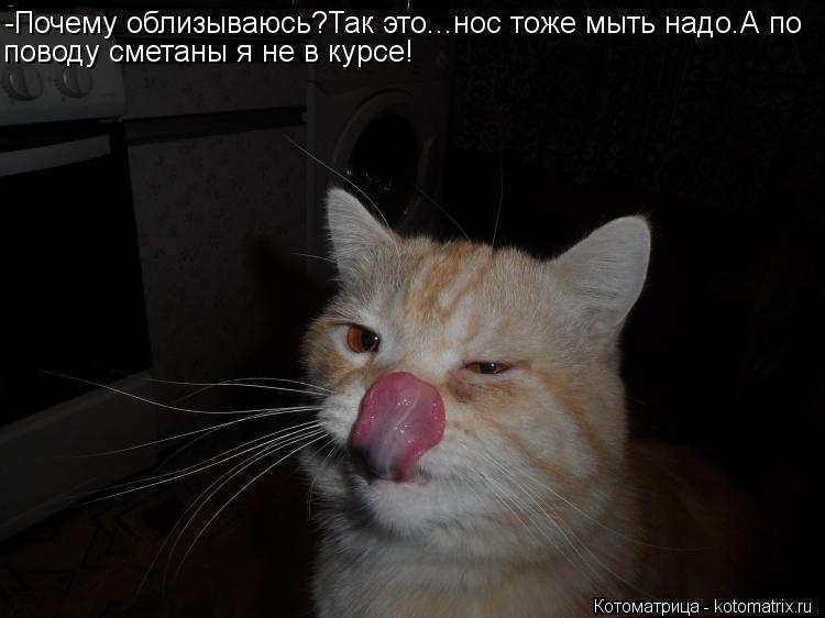 -Почему облизываюсь?Так это...нос тоже мыть надо.А по поводу сметаны я не в курсе!... Котоматрица: -Почему облизываюсь?Так это...нос тоже мыть надо.А по поводу сметаны я не в курсе!