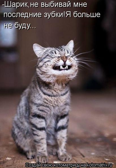 -Шарик,не выбивай мне последние зубки!Я больше не буду...... Котоматрица: -Шарик,не выбивай мне последние зубки!Я больше не буду...