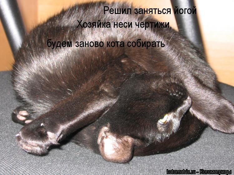 Решил заняться йогой Хозяйка неси чертижи, будем заново кота собирать... Котоматрица: Решил заняться йогой Хозяйка неси чертижи, будем заново кота собирать