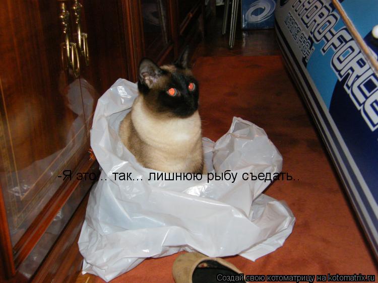 -Я это... так... лишнюю рыбу съедать..... Котоматрица: -Я это... так... лишнюю рыбу съедать..