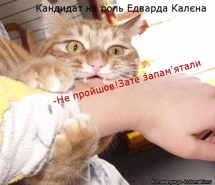 Кандидат на роль Едварда Калєна -Не пройшов!Зате запам'ятали... Котоматрица: Кандидат на роль Едварда Калєна -Не пройшов!Зате запам'ятали