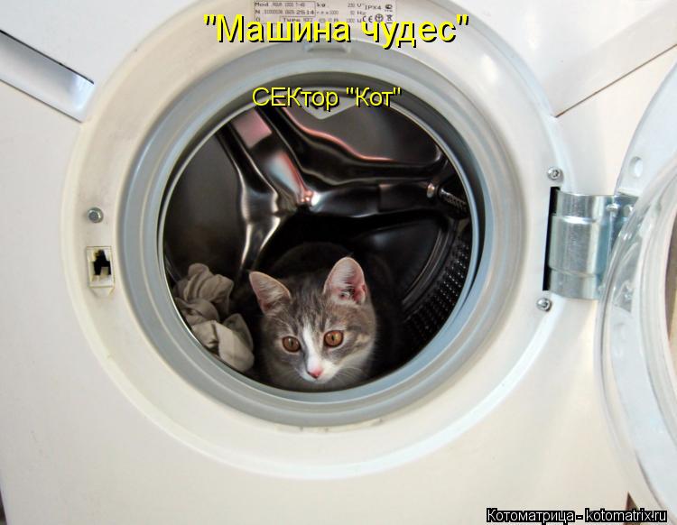 "Машина чудес" СЕКтор "Кот"... Котоматрица: "Машина чудес" СЕКтор "Кот"