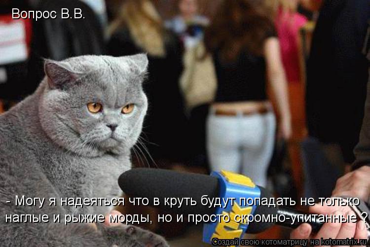 Вопрос В.В. - Могу я надеяться что в круть будут попадать не только наглые и рыжие морды, но и просто... Котоматрица: Вопрос В.В. - Могу я надеяться что в круть будут попадать не только наглые и рыжие морды, но и просто скромно-упитанные ?