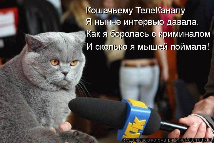 Кошачьему ТелеКаналу Я нынче интервью давала, Как я боролась с криминалом И сколько я мышей поймала!... Котоматрица: Кошачьему ТелеКаналу Я нынче интервью давала, Как я боролась с криминалом И сколько я мышей поймала!