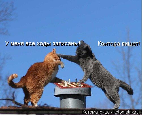 У меня все ходы записаны! Контора пишет!... Котоматрица: У меня все ходы записаны! Контора пишет!