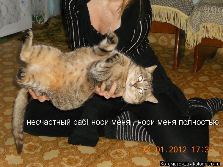 несчастный раб! носи меня , носи меня полностью... Котоматрица: несчастный раб! носи меня , носи меня полностью