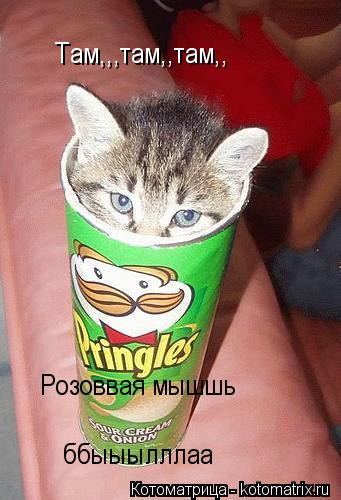 Там,,,там,,там,, Розоввая мышшь ббыыылллаа... Котоматрица: Там,,,там,,там,, Розоввая мышшь ббыыылллаа