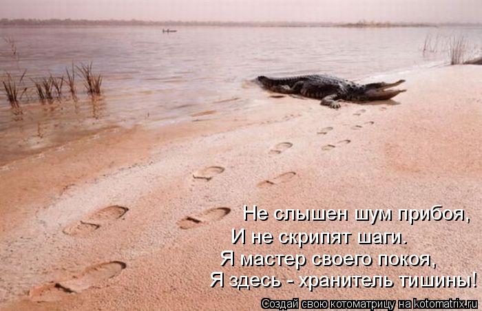 Я здесь - хранитель тишины! Я мастер своего покоя, И не скрипят шаги. Не слышен шум прибоя,... Котоматрица: Я здесь - хранитель тишины! Я мастер своего покоя, И не скрипят шаги. Не слышен шум прибоя,
