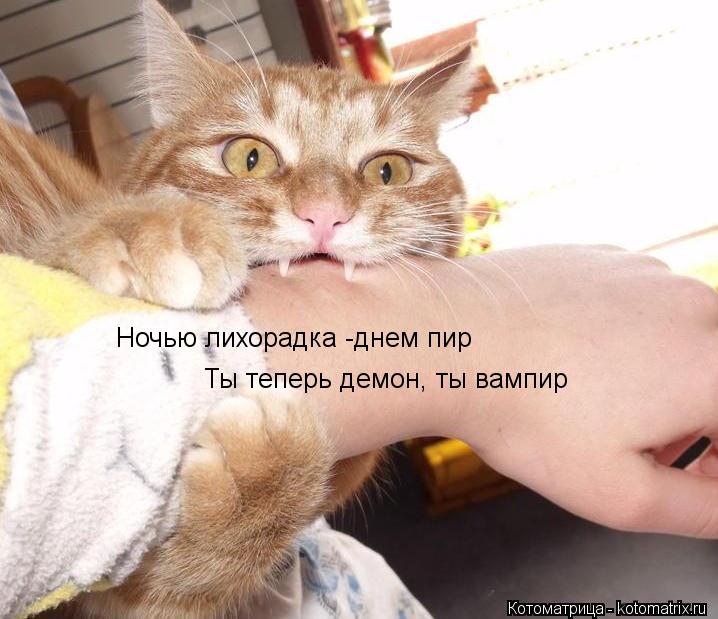 Ты теперь демон, ты вампир Ночью лихорадка -днем пир... Котоматрица: Ты теперь демон, ты вампир Ночью лихорадка -днем пир