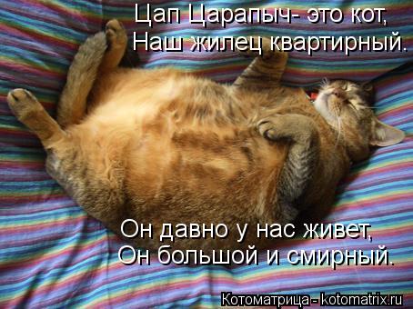 Цап Царапыч- это кот, Наш жилец квартирный. Он давно у нас живет, Он большой и смирный.... Котоматрица: Цап Царапыч- это кот, Наш жилец квартирный. Он давно у нас живет, Он большой и смирный.