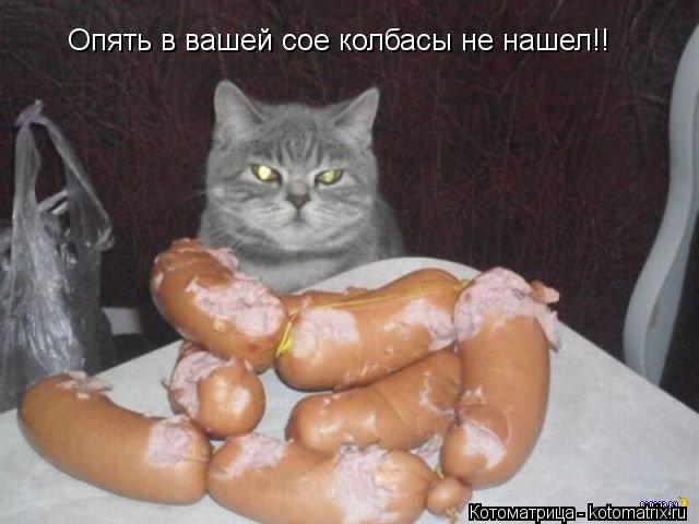 Опять в вашей сое колбасы не нашел!!... Котоматрица: Опять в вашей сое колбасы не нашел!!