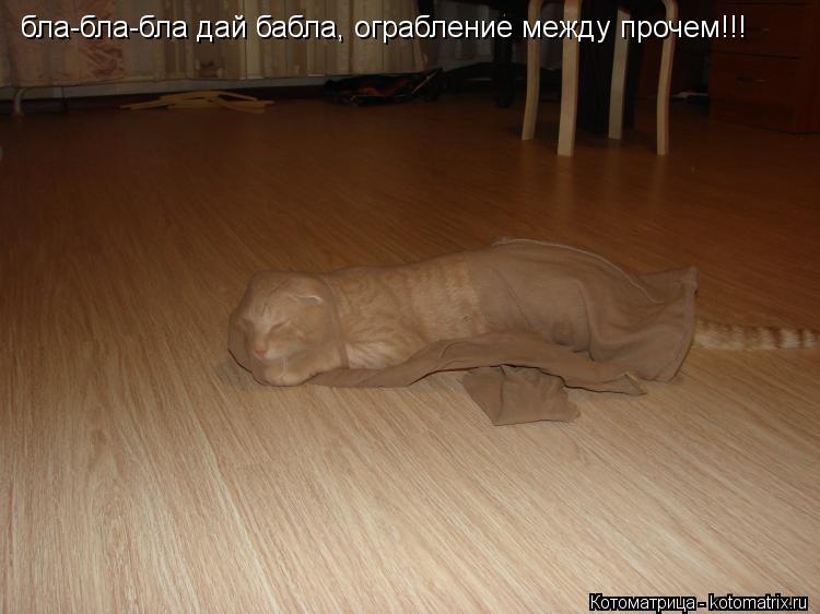 бла-бла-бла дай бабла, ограбление между прочем!!!... Котоматрица: бла-бла-бла дай бабла, ограбление между прочем!!!