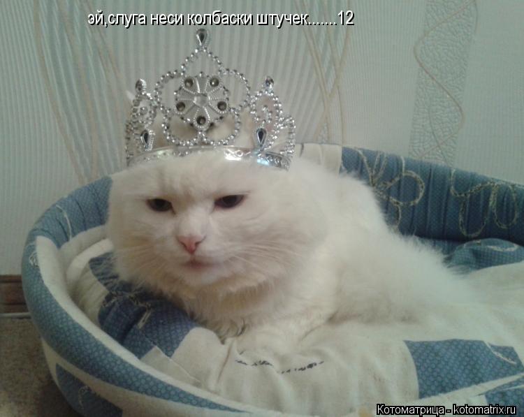 эй,слуга неси колбаски штучек.......12... Котоматрица: эй,слуга неси колбаски штучек.......12